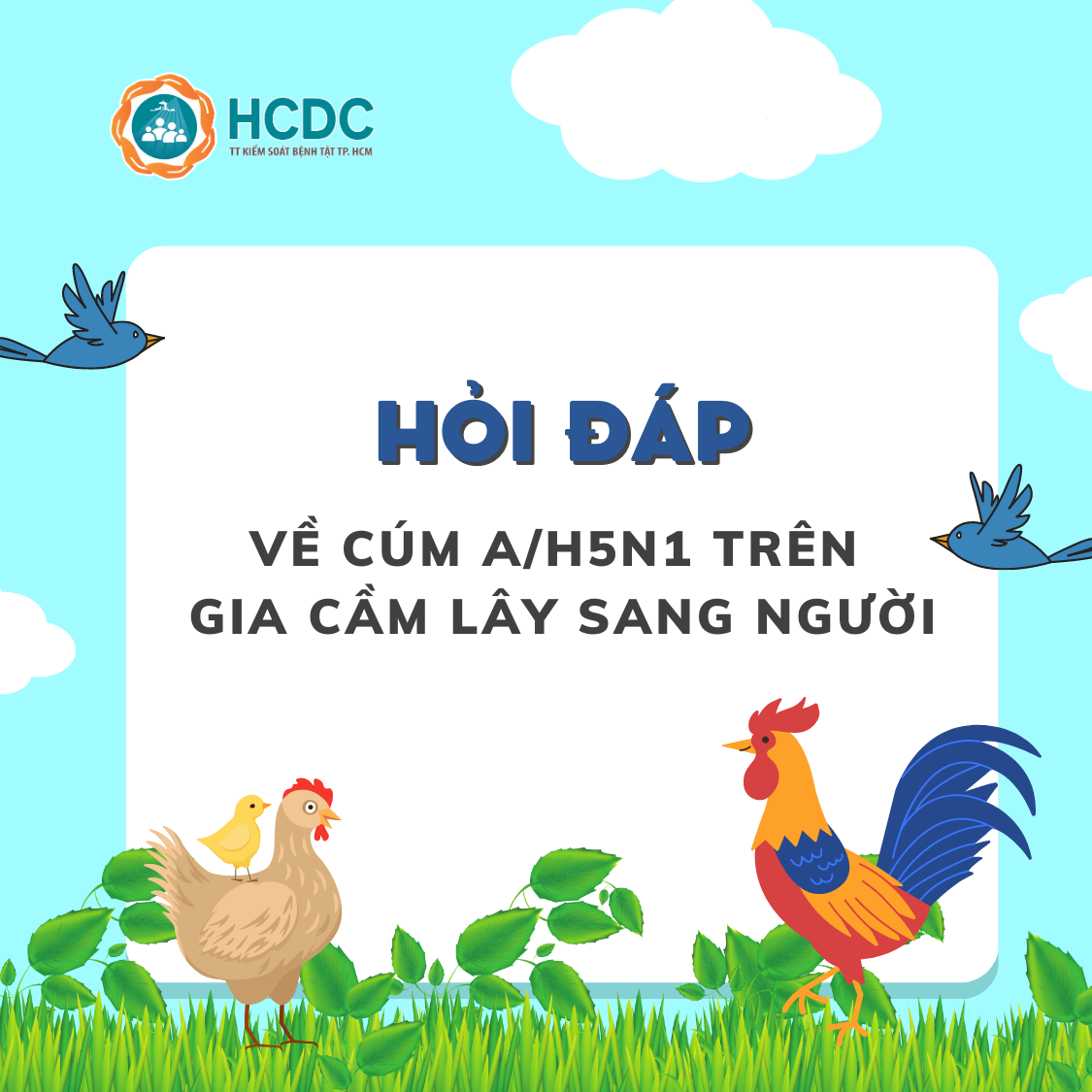 Hỏi đáp về cúm A/H5N1 trên gia cầm lây sang người