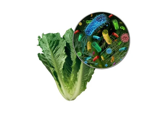 Làm gì để tránh ngộ độc thực phẩm trong và sau mùa bão lũ?