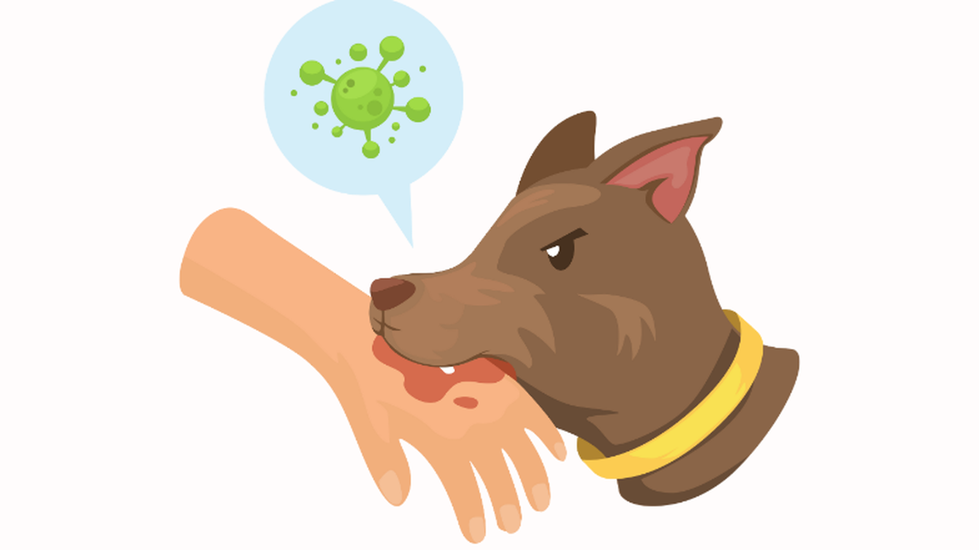 Bệnh dại và cách phòng ngừa