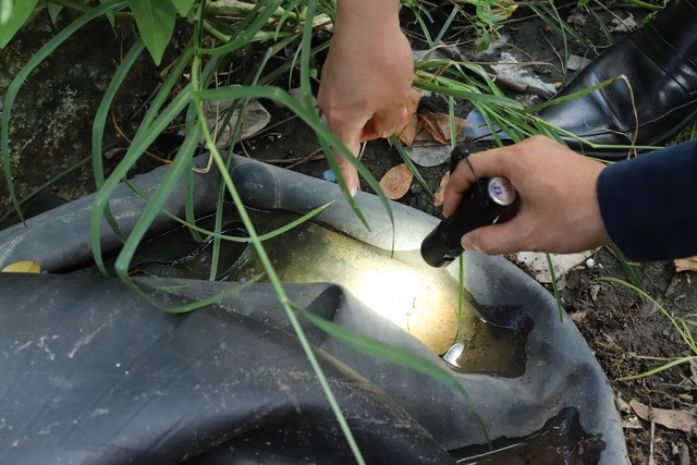 Viện trưởng Viện Pasteur TPHCM: 'Không thể xem nhẹ sốt xuất huyết