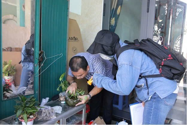 Sốt xuất huyết tăng vọt, TPHCM triển khai hàng loạt biện pháp khẩn