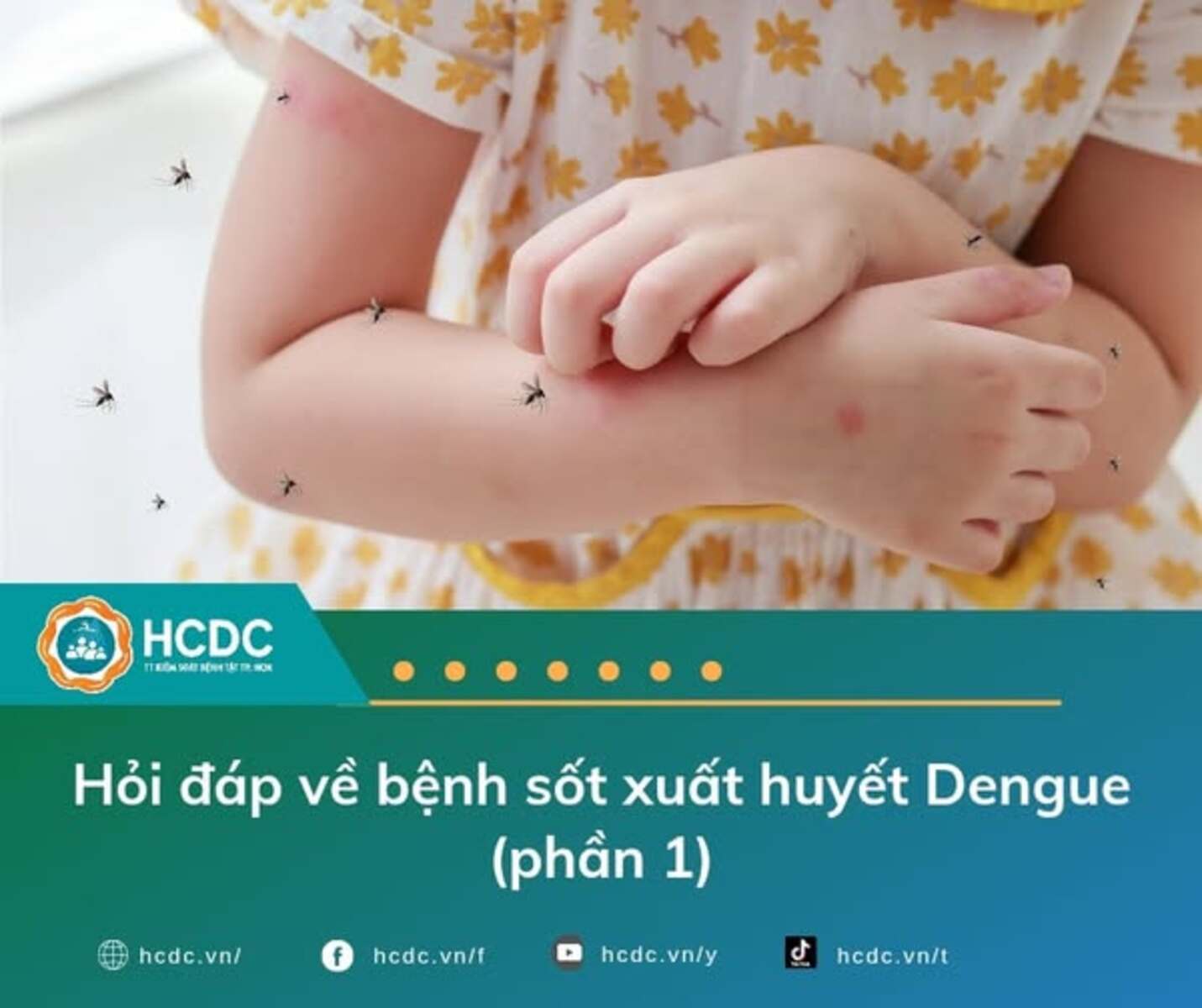 Hỏi đáp về bệnh sốt xuất huyết Dengue (phần 1)