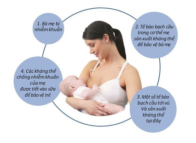 LỢI ÍCH CỦA VIỆC NUÔI CON BẰNG SỮA MẸ