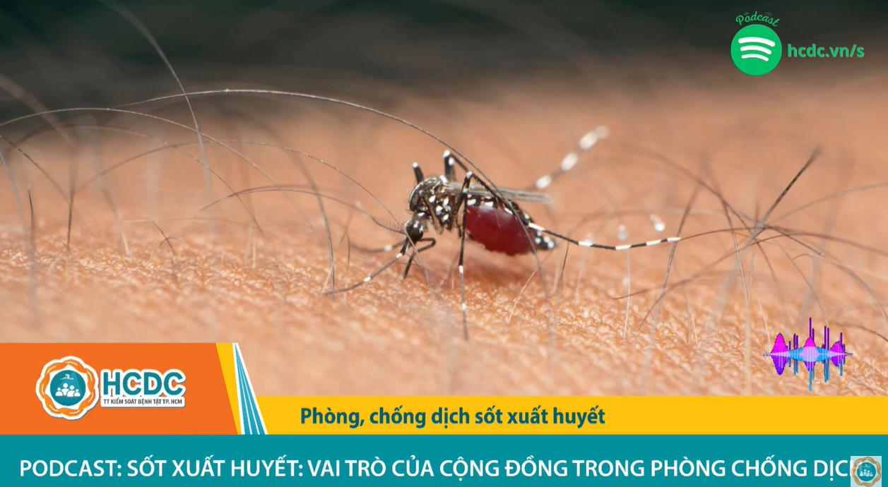 HCDC | Podcast: Sốt xuất huyết: Vai trò của cộng đồng trong phòng chống dịch