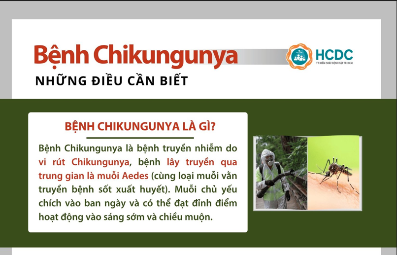 Bệnh Chikungunya - Những điều cần biết