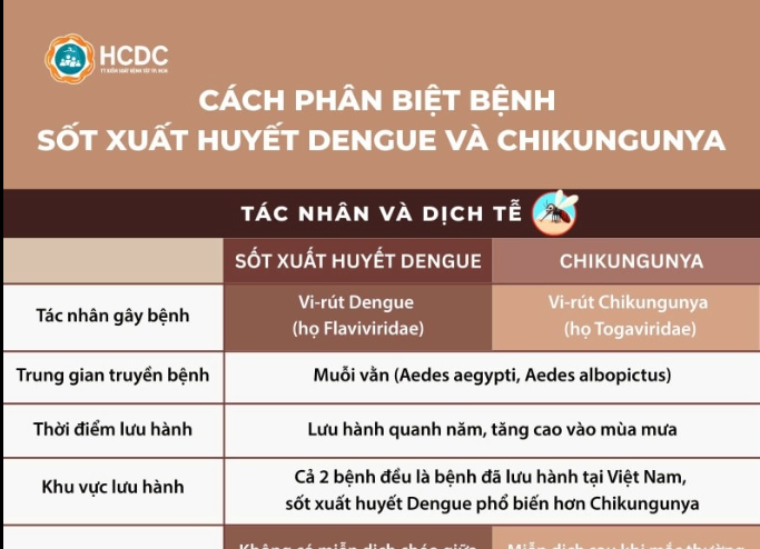Cách phân biệt bệnh sốt xuất huyết Dengue và Chikungunya