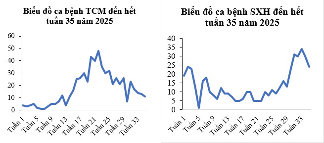 Tình hình dịch bệnh truyền nhiễm trên khu vực Tân Bình tính đến tuần 35/2025