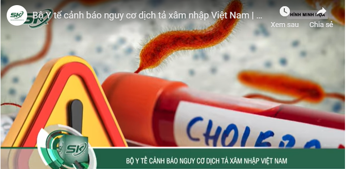Bộ Y tế cảnh báo nguy cơ dịch tả xâm nhập Việt Nam