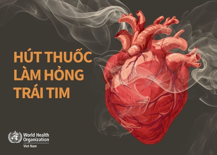 Bạn có biết hút thuốc làm hỏng trái tim
