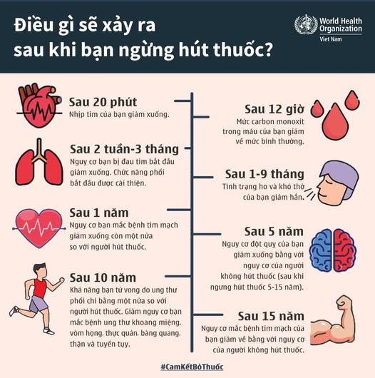 Lợi ích của việc bỏ thuốc lá