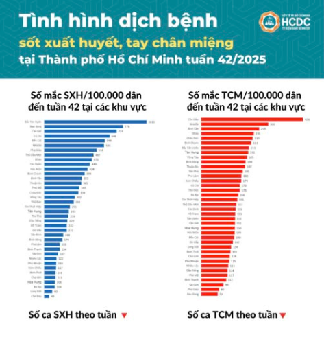 Tình hình dịch bệnh sốt xuất huyết, tay chân miệng trên địa bàn TP. Hồ Chí Minh tính đến tuần 42/2025