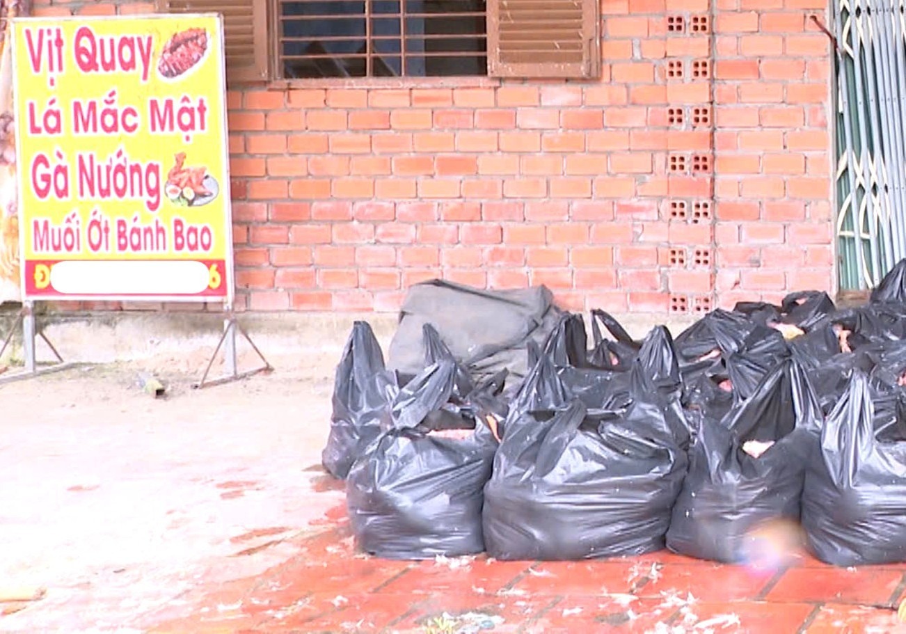 Phát hiện hơn 2 tấn vịt chết bốc mùi tại một cơ sở vịt quay ở TPHCM