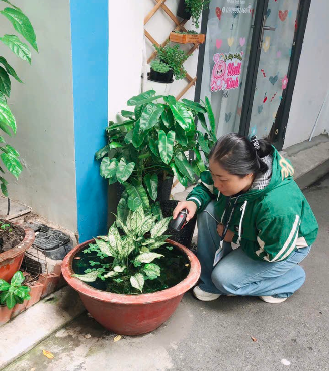PHƯỜNG TÂN BÌNH TRIỂN KHAI CÁC HOẠT ĐỘNG PHÒNG, CHỐNG DỊCH SỐT XUẤT HUYẾT TRÊN ĐỊA BÀN