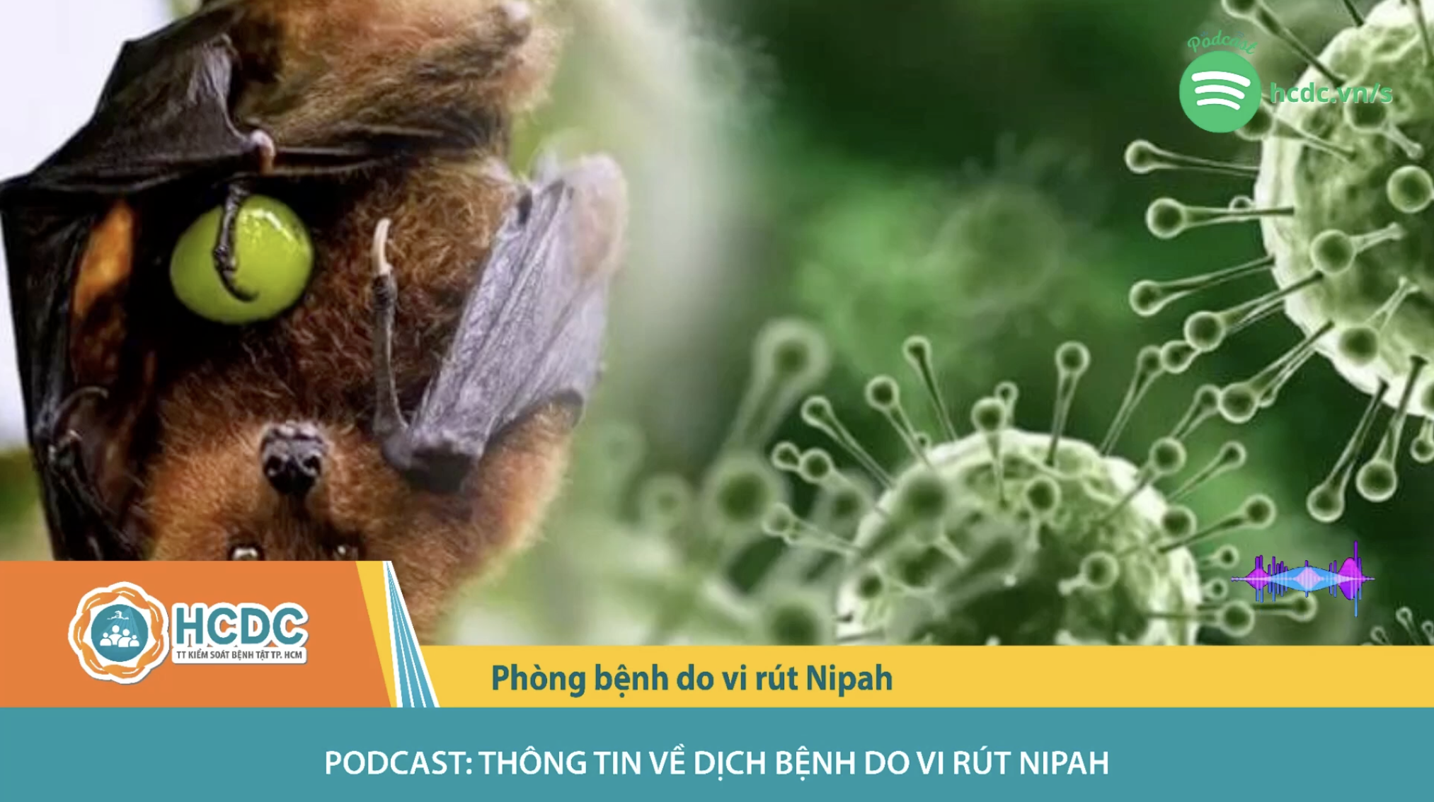 Podcast: Thông tin về dịch bệnh do vi rút Nipah