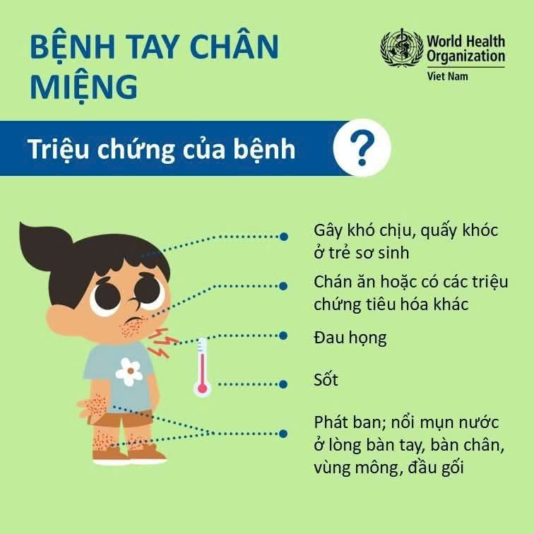 BỆNH TAY CHÂN MIỆNG: NHẬN BIẾT – ĐIỀU TRỊ – PHÒNG NGỪA HIỆU QUẢ