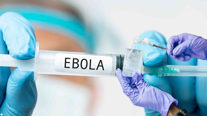 Sở Y tế TP.HCM: Chủ động giám sát, ngăn chặn nguy cơ xâm nhập của dịch bệnh Ebola