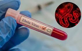 Việt Nam ứng phó với chủng Bundibugyo của vi rút Ebola