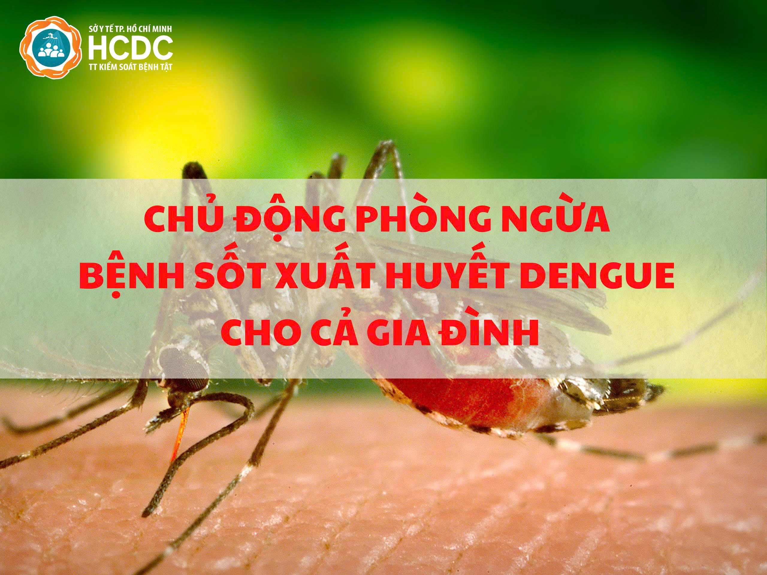 Chủ động phòng ngừa bệnh sốt xuất huyết Dengue cho cả gia đình
