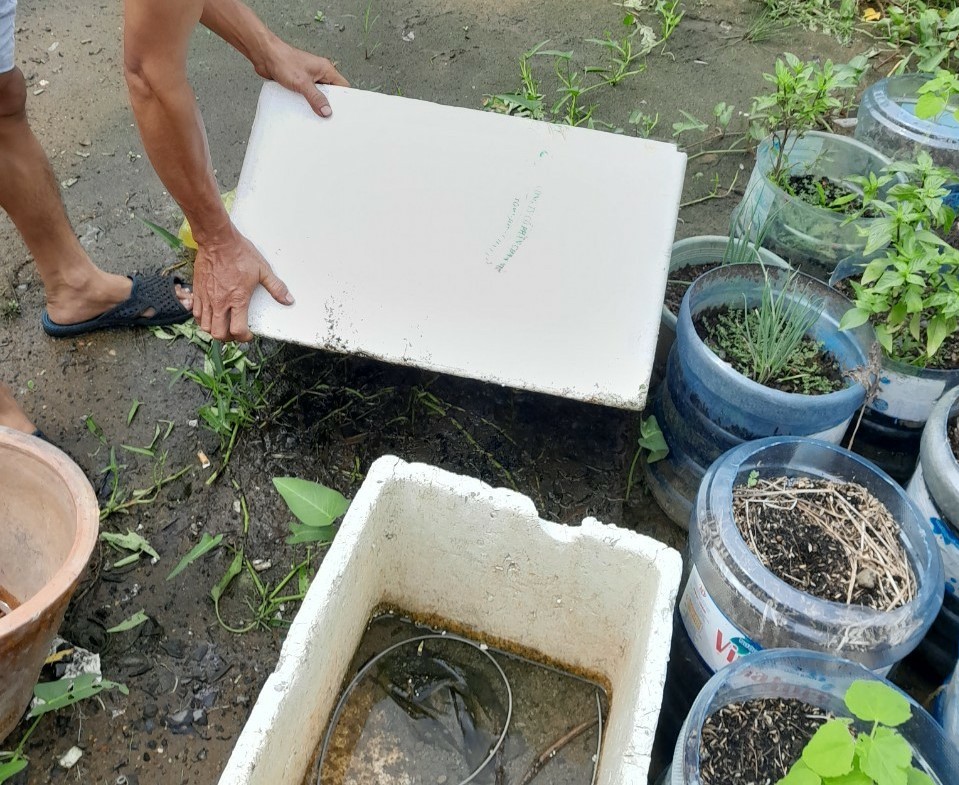 TÌNH HÌNH DỊCH BỆNH SỐT XUẤT HUYẾT, TAY CHÂN MIỆNG CẬP NHẬT ĐẾN TUẦN 49 (TÍNH ĐẾN NGÀY 04/12/2022)