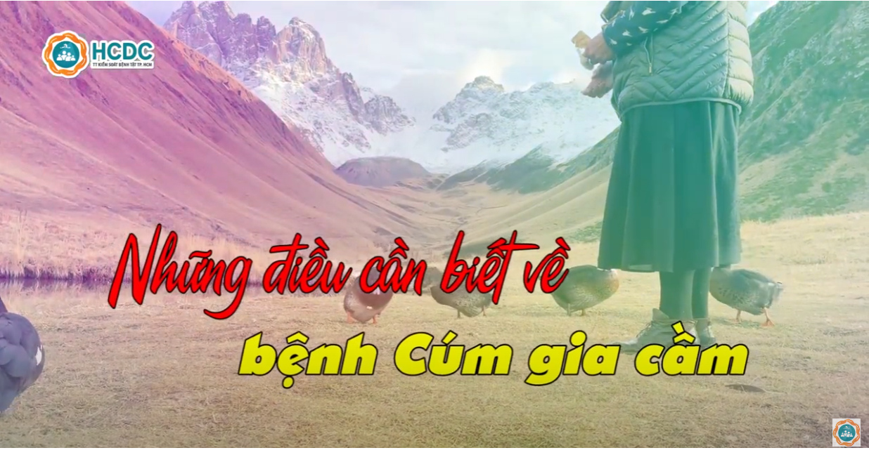 Những điều cần biết về bệnh cúm gia cầm