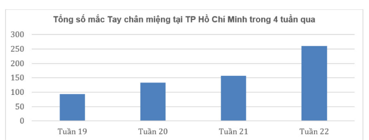TP.HCM: Nguy cơ bùng phát dịch bệnh Tay chân miệng và Sốt xuất huyết