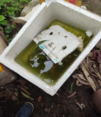 TP.HCM: kết quả giám sát chủ động công tác phòng, chống dịch sốt xuất huyết trên địa bàn Thành phố.