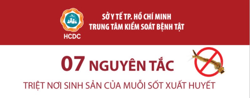 7 Nguyên tắc diệt lăng quăng