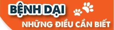 Bệnh dại những điều cần biết