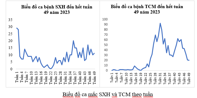Tình hình dịch bệnh truyền nhiễm trên địa bàn quận Tân Bình tính đến tuần 49/2023