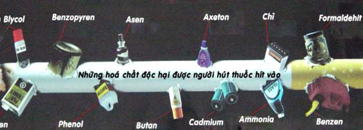 THUỐC LÁ VÀ NHỮNG TÁC HẠI CỦA NÓ