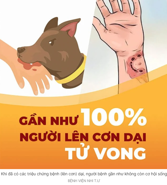 Nguy cơ mắc bệnh dại chực chờ, tuyệt đối không chủ quan khi bị chó, mèo cắn