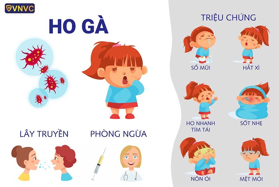 TÌM HIỂU VỀ BỆNH HO GÀ