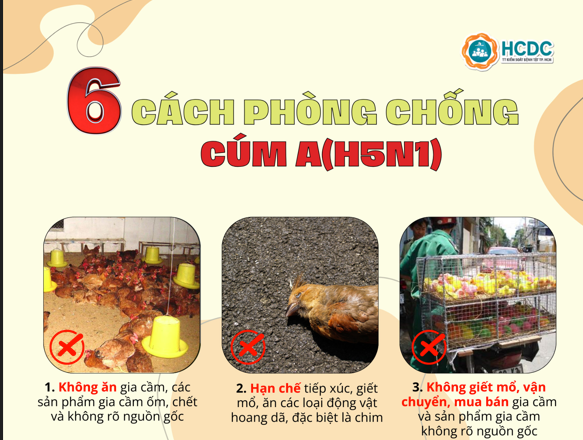 6 cách phòng chống cúm A(H5N1)