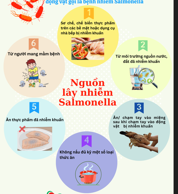 Vi khuẩn Salmonella nguy hiểm như thế nào?
