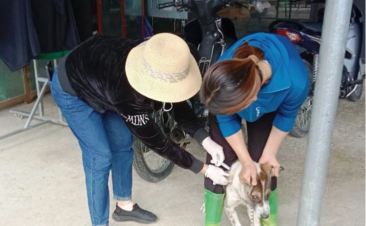 Xuất hiện hai ổ dịch, nhiều người bị chó dại cắn