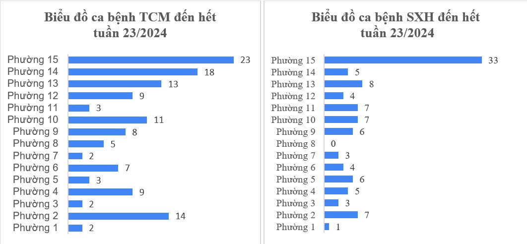 Tình hình dịch bệnh truyền nhiễm trên địa bàn quận Tân Bình tính đến tuần 23/2024